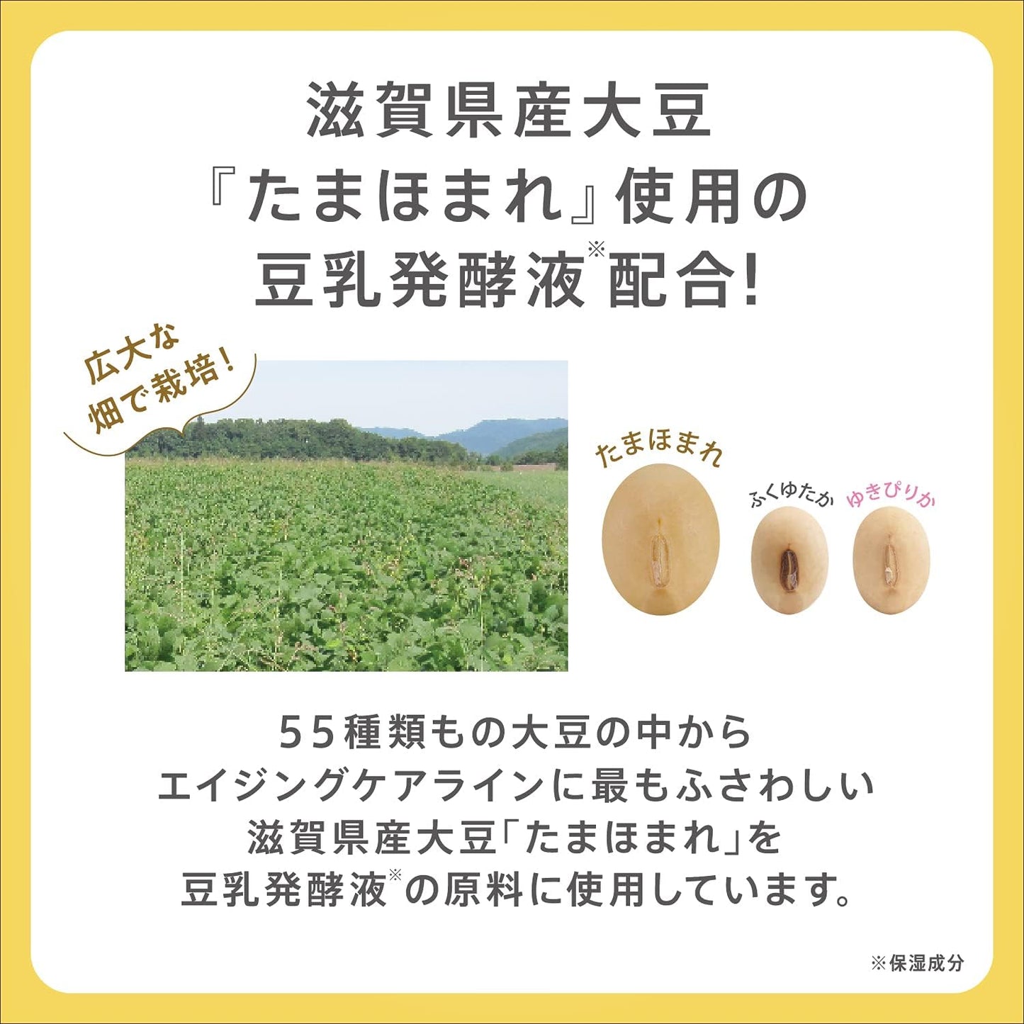Sana Nameraka Honpo Soy Milk Isoflavone Wrinkle Eye Cream - 30g