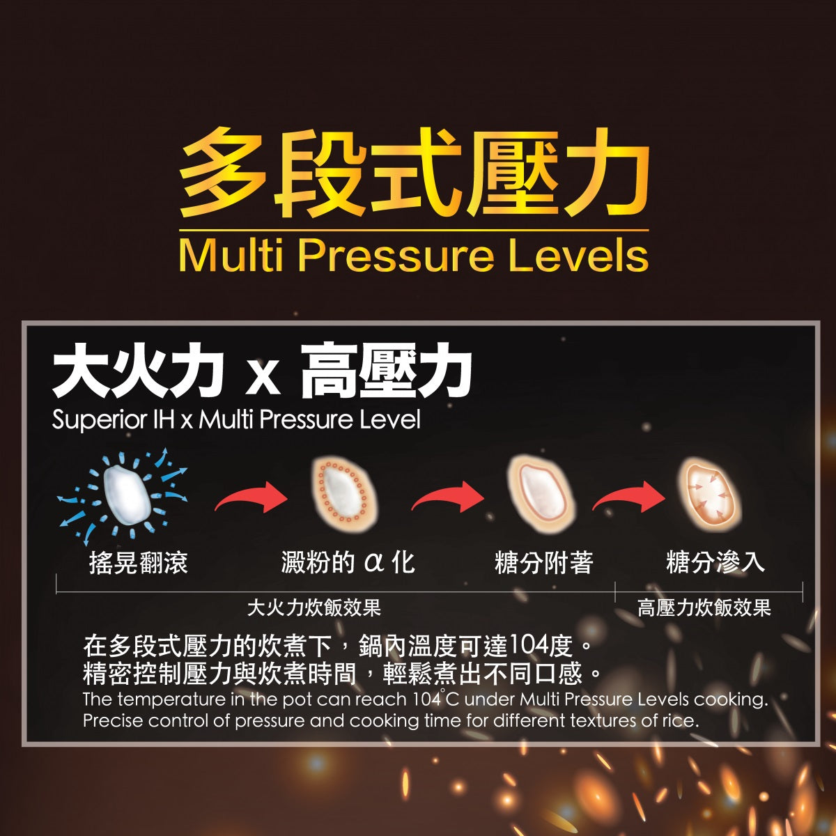 Zojirushi Rice Cooker IH Pressure NP-RLQ05 (Made in Japan)