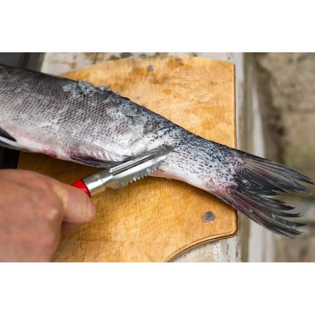 Fish Scaler Remover (Made in Japan) - Just £1.65! Shop now at JAPAN PLAZA UK