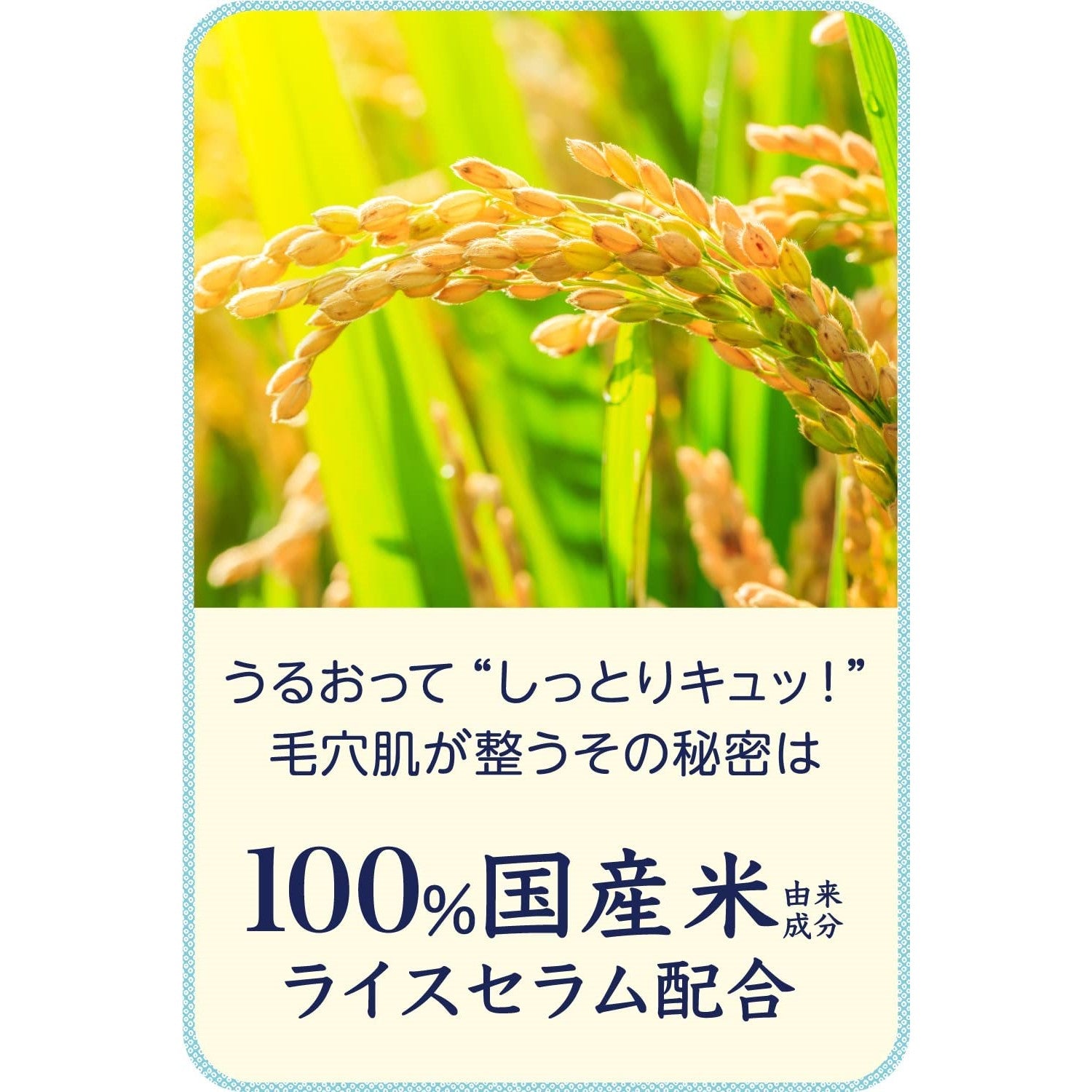 Keana Nadeshiko rice mask 10pcs (Made in Japan)