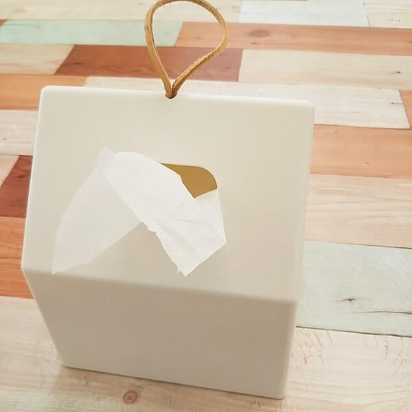 Roll Tissue Paper Box - is made of recycle plastic (Made in Japan)