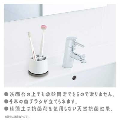 Toothbrush stand with diatomaceous earth tray